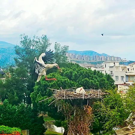 Apartament Saint Johns Hill Boutique Ephesus
