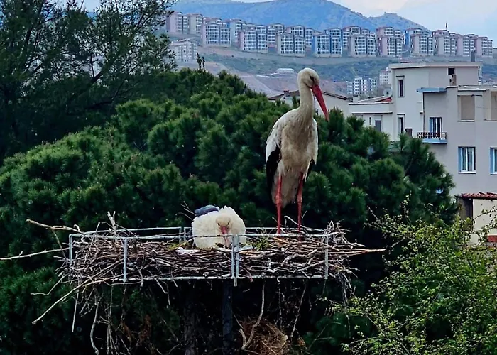 Daire Saint Johns Hill Boutique Ephesus