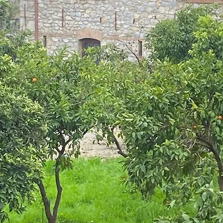 דירה Saint Johns Hill Boutique Ephesus