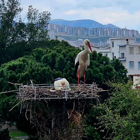 Apartment Saint Johns Hill Boutique Ephesus