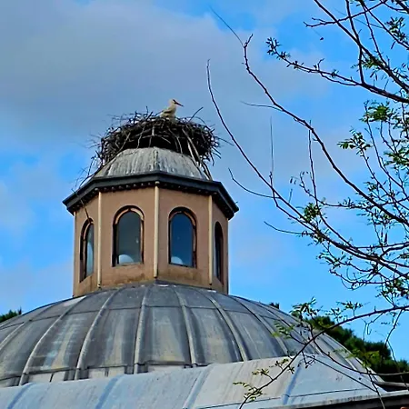 Saint Johns Hill Boutique Ephesus סלצ'וק