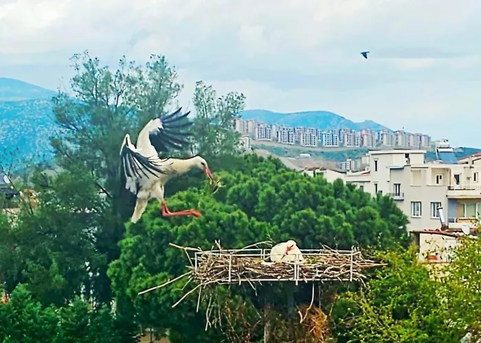 Apartamento Saint Johns Hill Boutique Ephesus