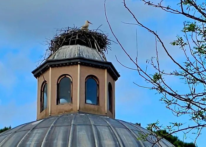 Saint Johns Hill Boutique Ephesus Selçuk